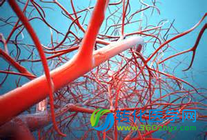 Neuron：大脑中血管渗漏或可引发阿兹海默症