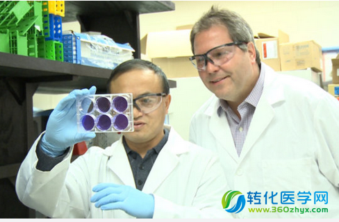 J Virol：科学家开发出了抵御H5N1和H7N9的重组性病毒疫苗