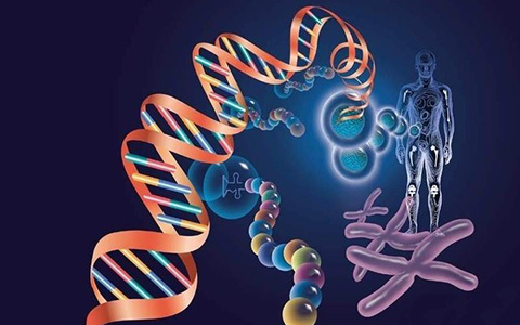 海外医疗：从DNA模型探索癌症发展路径