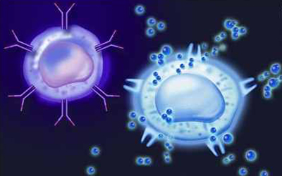 香山科学会议 聚焦免疫细胞与干细胞治疗