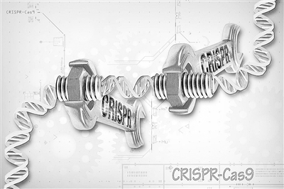 CRISPR技术发明人的伦理学纠结