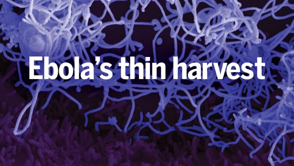 差强人意的收获 全球埃博拉病毒实验一览