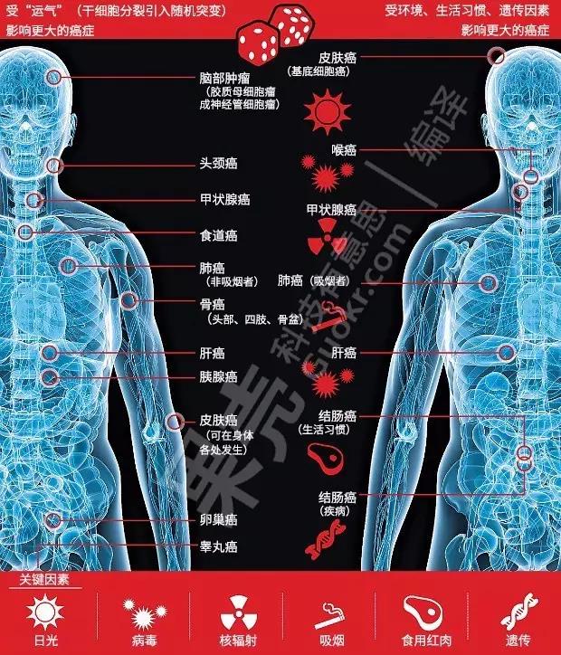 癌症，你患得起吗|柳叶刀公布最新癌症负担数据