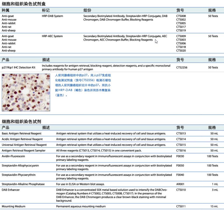 图说鲜肉IHC/ICC晋级攻略