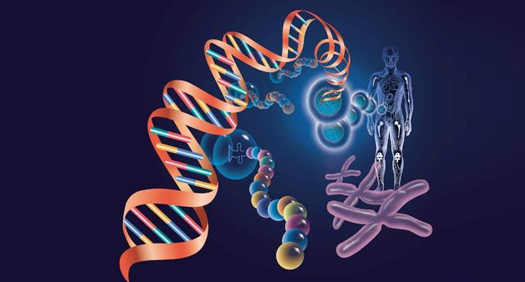 人类基因编辑基本原则发布 就其研究的科学、伦理及监管问题提出框架