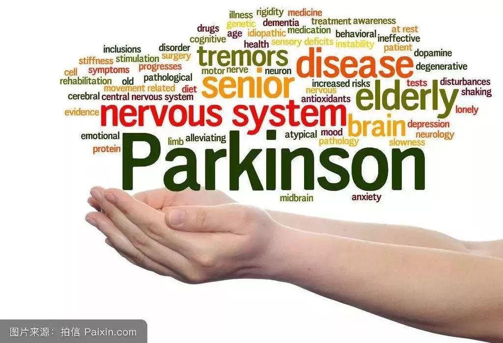 帕金森病起源于肠道吗?