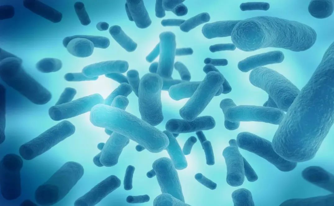 中山大学最新综述：微生物组是癌症中有前景的生物标记物和治疗靶点