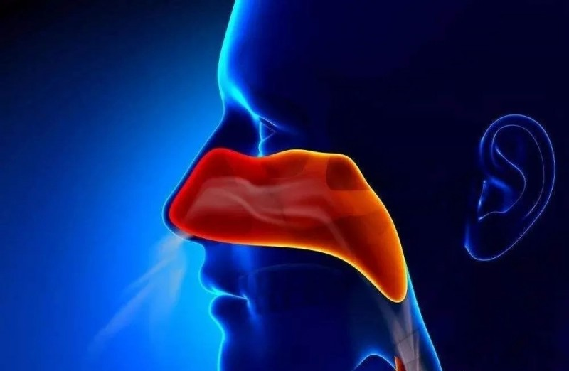 新思路！中南湘雅学者发现鼻咽癌最新免疫治疗策略