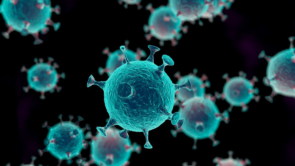 最新！厦门大学夏宁邵院士团队揭示癌症免疫治疗潜在治疗靶点