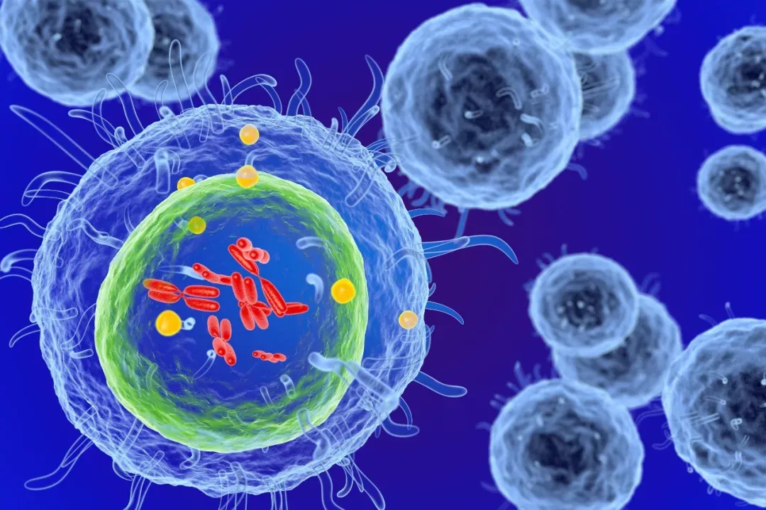 PD-L1新发现！深圳大学王雷等团队揭秘PD-L1在肿瘤免疫微环境中的免疫学意义