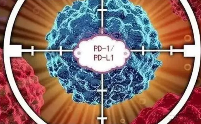 抗癌神药“PD-1抑制剂”大PK ：国产 vs 进口！国内团队发表首个直接对比两种PD-1抑制剂的临床研究