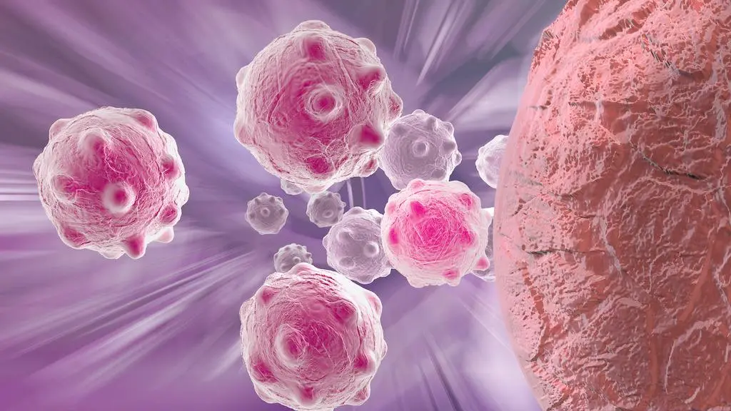 联合治疗！首都医科大学最新研究揭示三阴性乳腺癌潜在治疗靶点