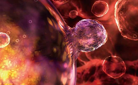 培养皿中的病人：毒理学家拥抱干细胞