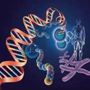 肿瘤DNA甲基化 | Cell和Nature这么做