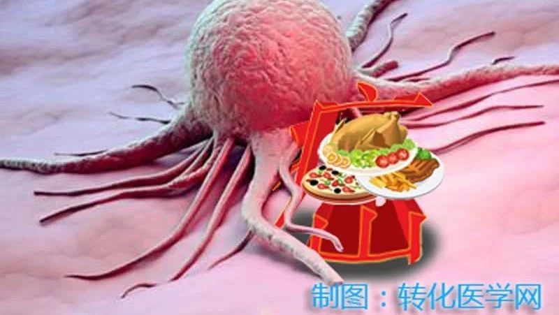 《Cell》子刊：少吃肉能抗癌