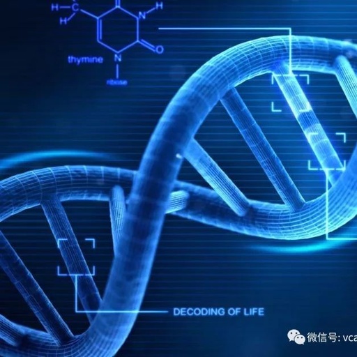 基因探索 | JAMA Cardiol:科学家鉴别出诱发心力衰竭的新型基因突变