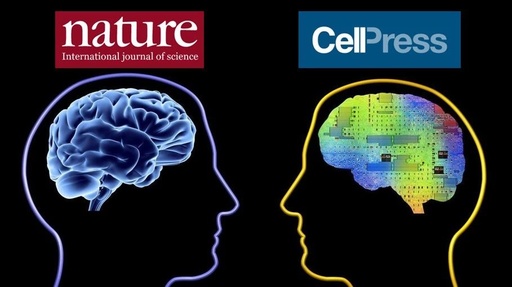 《自然》惨遭《Cell》打脸,半个世纪的争论再起!老年大脑神经元是否仍可再生?