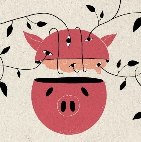 存活了36个小时的猪脑，带给我们什么样的思考？
