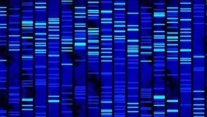 长读长测序再显优势!基因组复杂结构变异检测实现新突破!