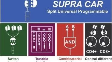 美国科学家开发出通用型CART系统治疗癌症