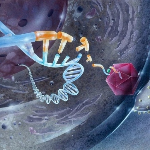 Nature Biotechnology连发4篇CRISPR技术的文章,推动该领域跨越式的发展