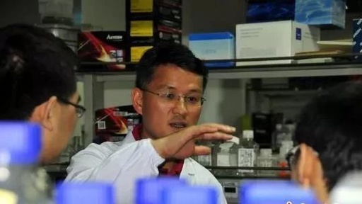 中国科学家裴端卿入选欧洲分子生物学组织(EMBO ),施一公,曹雪涛等曾入选