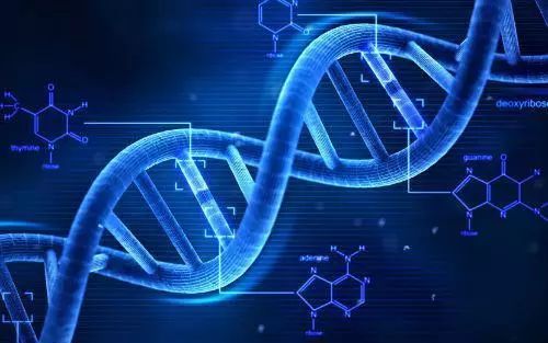 Cell子刊：新型RNA编辑技术可提高蛋白表达多样性，未来或可用于肿瘤治疗！