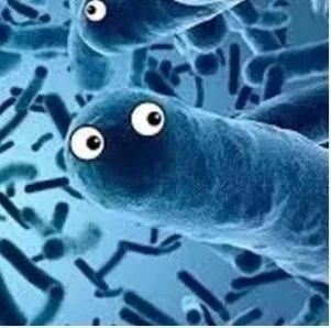 疯狂的微生物（二）：谁是地球的主人