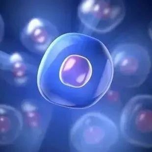 Cell 子刊：DNA复制时的应激反应可以诱导肿瘤干细胞的形成！