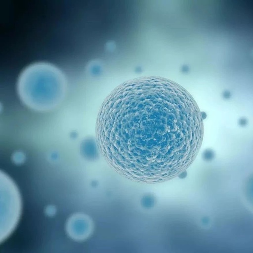 继免疫治疗后,微生物重装奔赴抗癌前沿:除了溶瘤病毒,还有吗?前景如何?