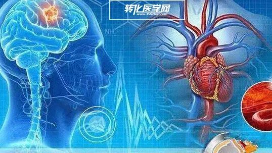 Science子刊又一篇!自噬不仅延长10%寿命，还能保护心脏！｜诺奖级发现