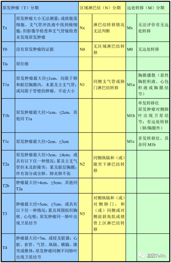 肺癌病理分期图片