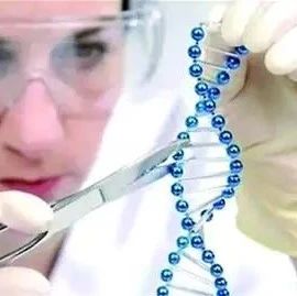 生物科技 | 新方法使“基因剪刀”更易使用