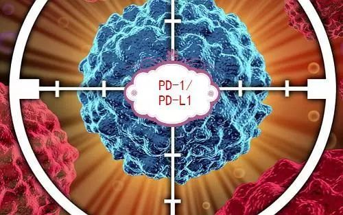 重大突破！PD-1竟可预测肺癌免疫治疗生存期！｜Nature子刊