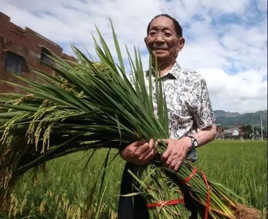 重磅 | 2018年上半年中国生物医学风云榜人物出炉，共14位（袁隆平，朱健康，曹雪涛，施一公等上榜，值得收藏）