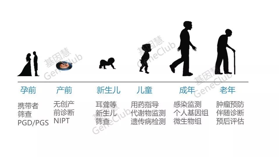 人的生命周期8个阶段图片