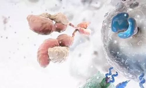 快讯 | Nature重磅:一个CAR-T细胞居然干掉了整个肿瘤!