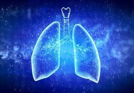 首个肺癌全息细胞图谱问世！深入解析肺癌微环境！｜Nature子刊
