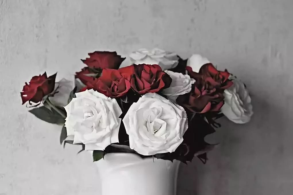 PD-1抑制剂：白玫瑰与红玫瑰