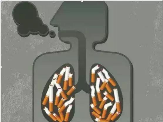 Nature子刊 | 最新研究，可改变肺癌患病风险的易感性通路被发现！