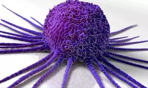 聚焦肿瘤细胞“生存法则”，助力免疫代谢治疗！