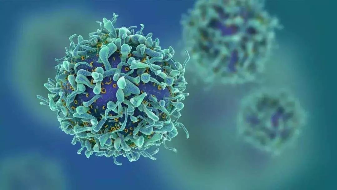 Science：突破！新法让癌细胞无处可逃！阻断肿瘤免疫抑制!