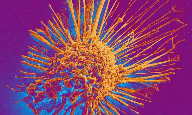 一针治癌！一日两文同登《Nature》，揭开癌症疫苗绝杀“冷肿瘤”之谜！
