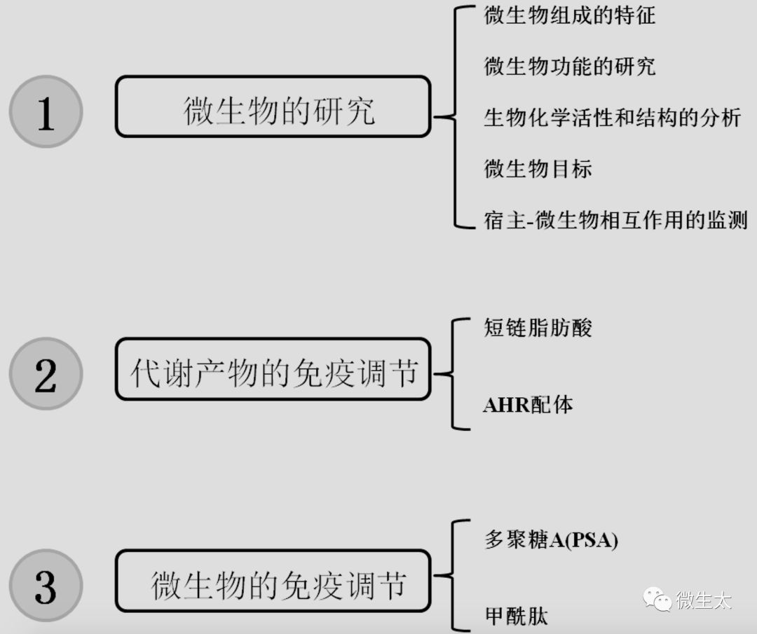 综述 | 肠道微生物群、代谢产物和宿主免疫(IF:41.982)