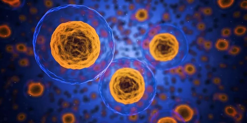 Cell子刊：新型肿瘤治疗靶点被发现！或将改写癌症治疗格局！
