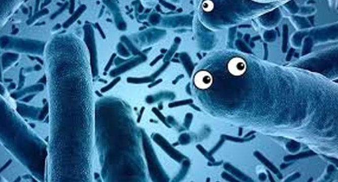 Cell:贝勒医学院最新研究！利用肠道菌群发现早期癌症！