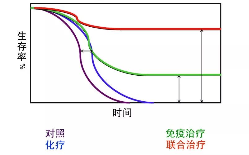 免疫治疗时代,放疗人的喜与忧