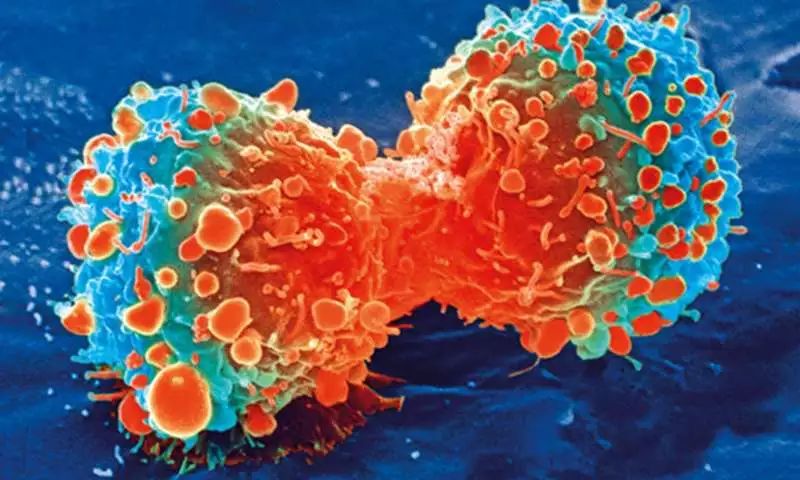Science子刊:白血病药物联合PD-1抑制剂增强免疫治疗效果！