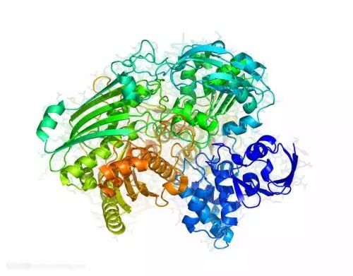 Nature子刊：新模型深度分析膜蛋白，助力肿瘤治疗新靶点诞生！