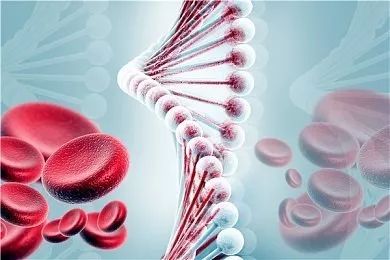 CRISPR-Cas9奋战血红蛋白病：造血干细胞富集